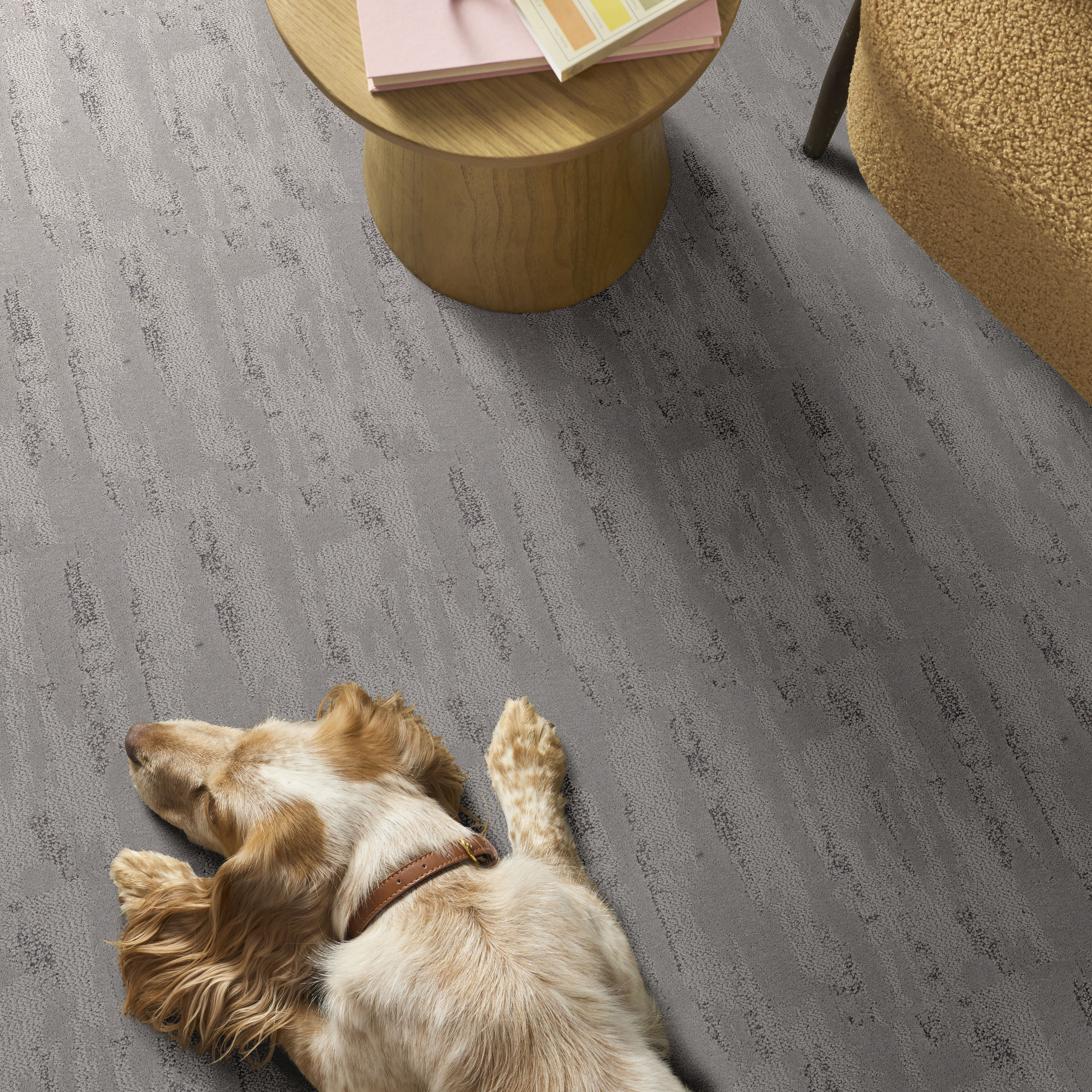 Tranquil Spirit - Lilac Gray Carpet | Shaw Floors